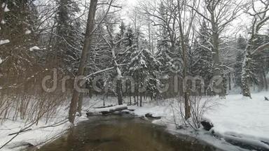 小溪在冬天的雪林中的雪岸。